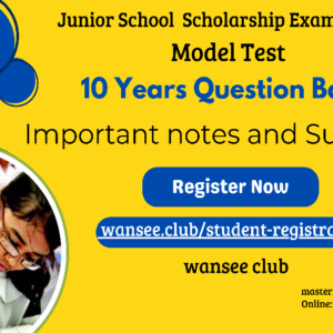 junior School Scholarship Exam Test