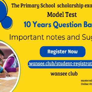 Primary School Scholarship Exam Test