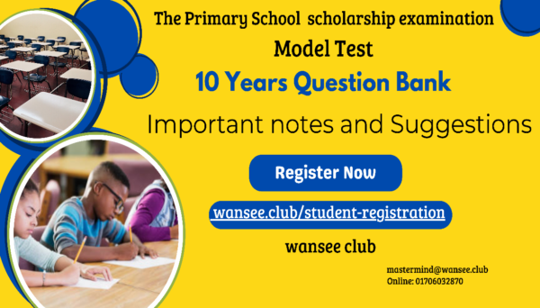Primary School Scholarship Exam Test
